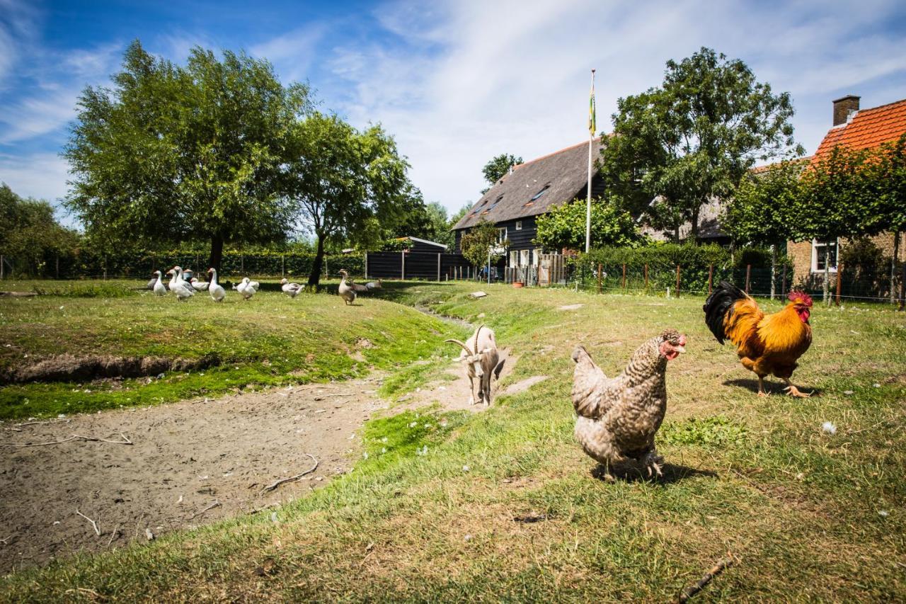 Welcome In - Oranjezon - Vakantiehuizen 2 & 4 Personen 弗劳温普尔德 外观 照片